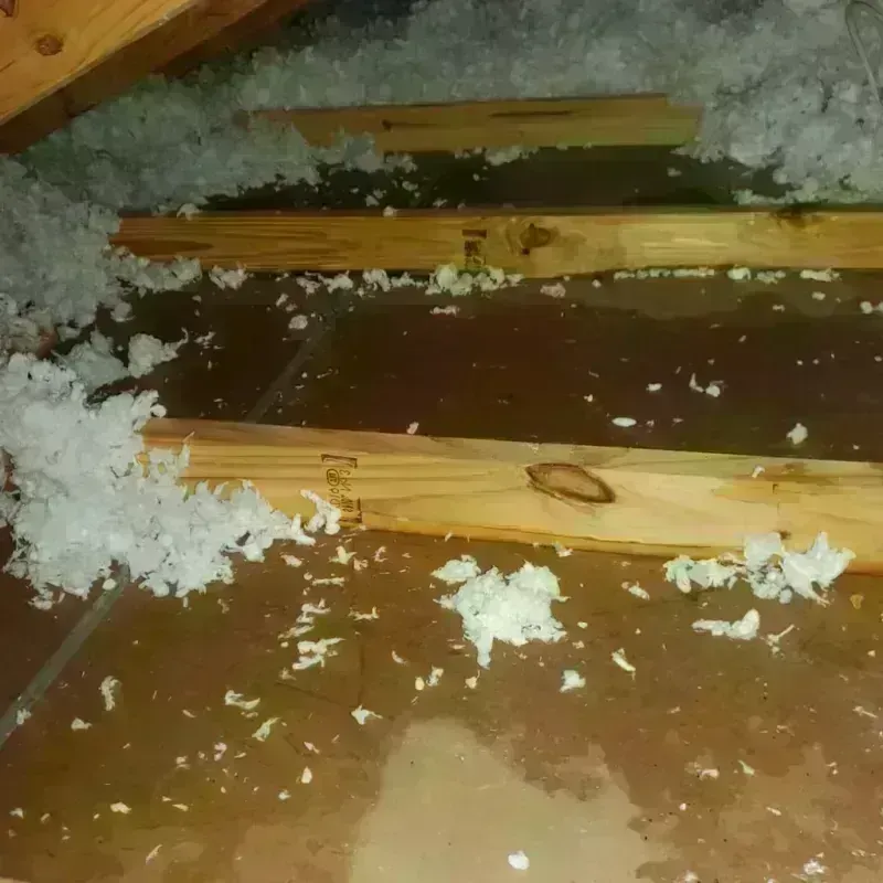 Attic Water Damage in Lakeview, OH