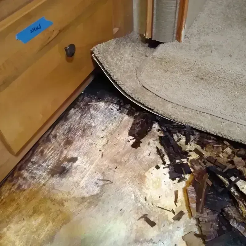 Wood Floor Water Damage in Lakeview, OH